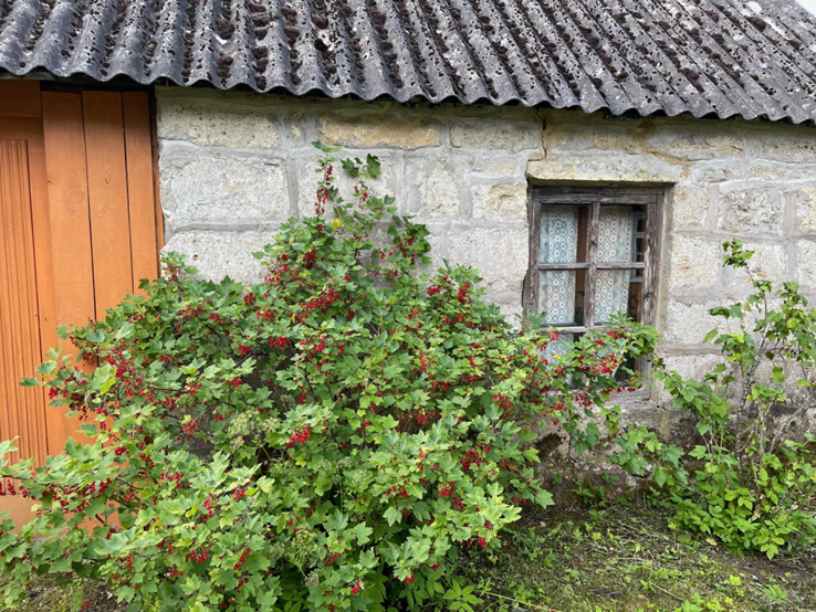 See kõige vanem maja 1885