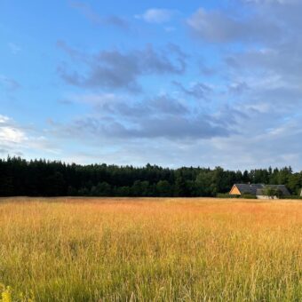 Welcome to Tuuliku–Saadu Farm Museum