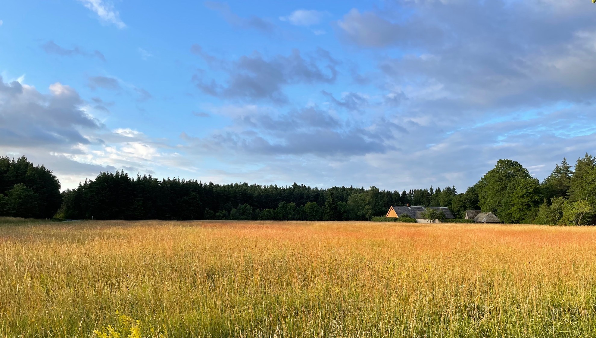 Welcome to Tuuliku–Saadu Farm Museum